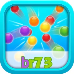 br73